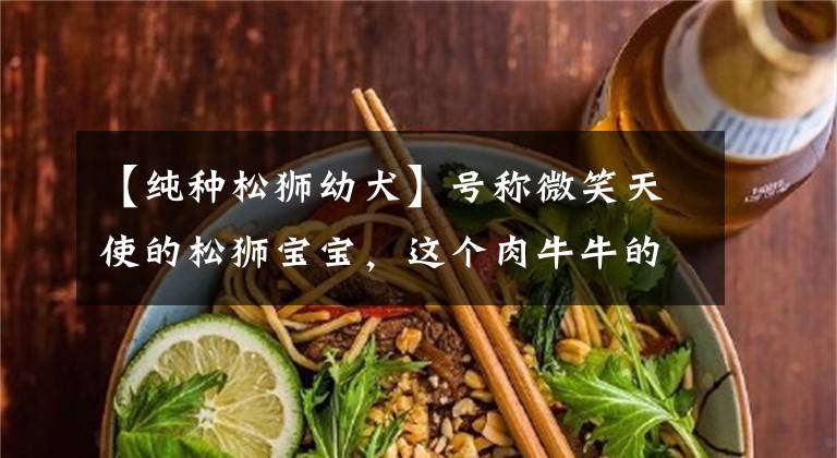 【纯种松狮幼犬】号称微笑天使的松狮宝宝，这个肉牛牛的家伙生病可不是小事