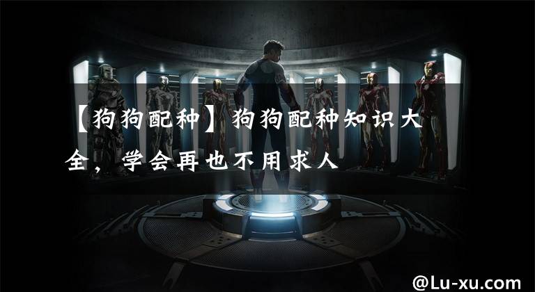 【狗狗配种】狗狗配种知识大全，学会再也不用求人