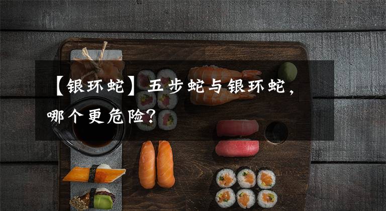 【银环蛇】五步蛇与银环蛇,哪个更危险?