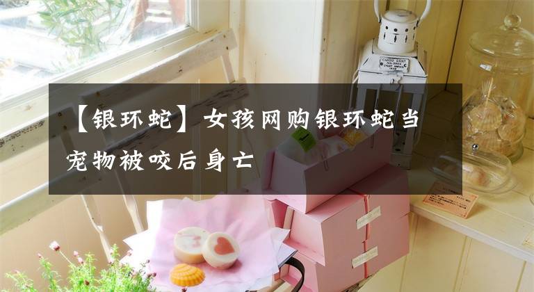 【银环蛇】女孩网购银环蛇当宠物被咬后身亡