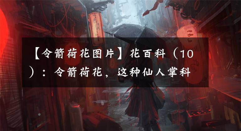 【令箭荷花图片】花百科（10）：令箭荷花，这种仙人掌科的花卉你觉得像荷花吗？