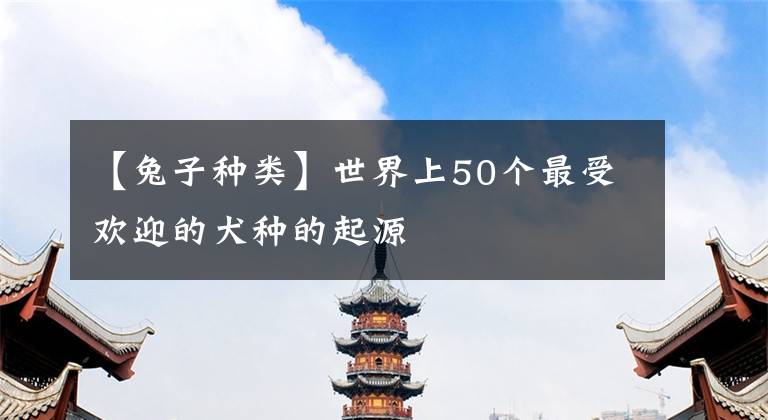 【兔子种类】世界上50个最受欢迎的犬种的起源