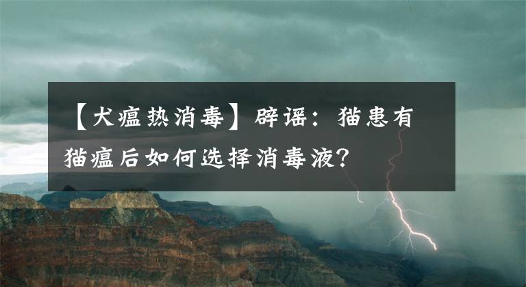 【犬瘟热消毒】辟谣：猫患有猫瘟后如何选择消毒液？