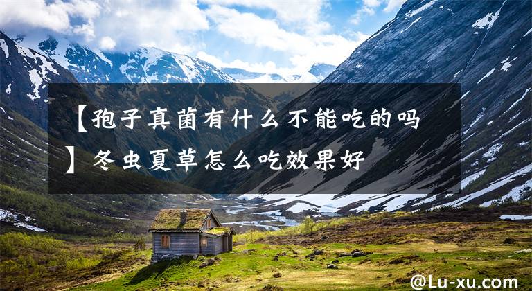 【孢子真菌有什么不能吃的吗】冬虫夏草怎么吃效果好