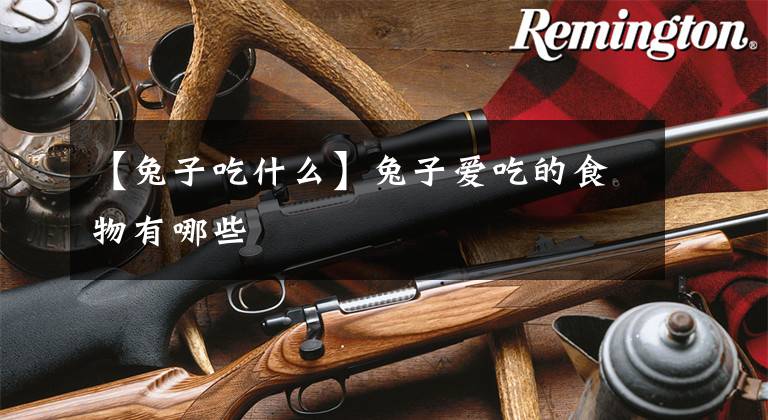 【兔子吃什么】兔子爱吃的食物有哪些