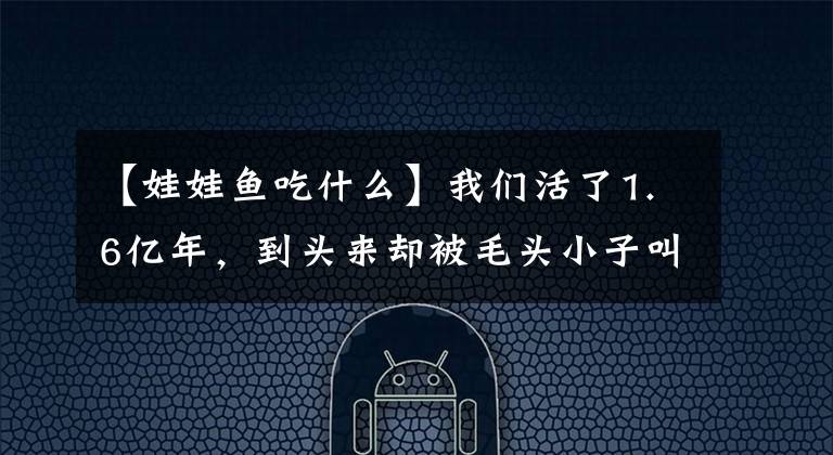 【娃娃鱼吃什么】我们活了1.6亿年,到头来却被毛头小子叫成“娃娃鱼”?
