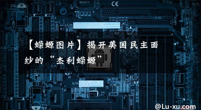 【蝾螈图片】揭开美国民主面纱的“杰利蝾螈”