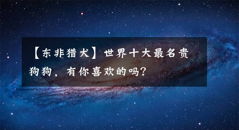 【东非猎犬】世界十大最名贵狗狗,有你喜欢的吗?
