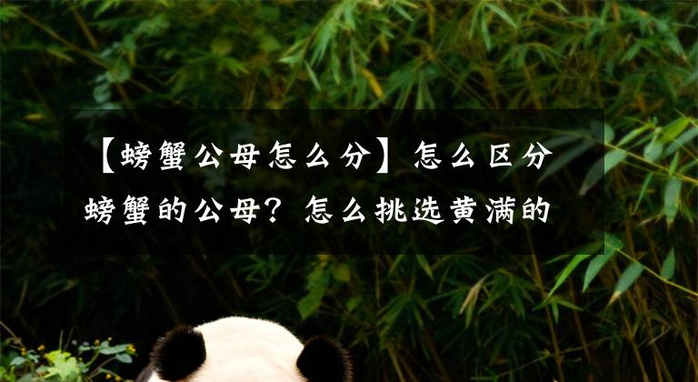【螃蟹公母怎么分】怎么区分螃蟹的公母?怎么挑选黄满的螃蟹?后附吃螃蟹的方法