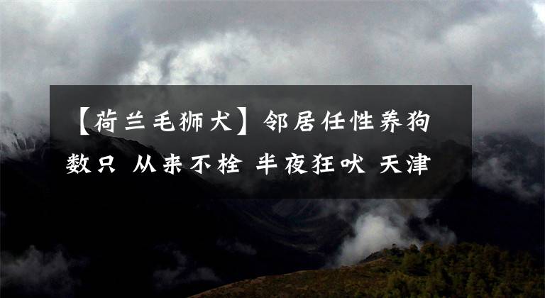 【荷兰毛狮犬】邻居任性养狗数只 从来不栓 半夜狂吠 天津网友求助……