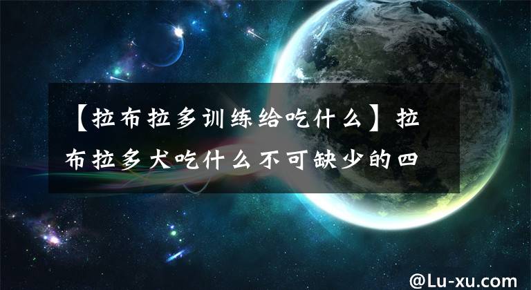 【拉布拉多训练给吃什么】拉布拉多犬吃什么不可缺少的四大食品?