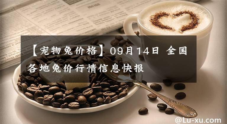 【宠物兔价格】09月14日 全国各地兔价行情信息快报