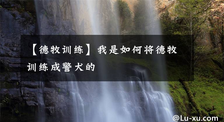 【德牧训练】我是如何将德牧训练成警犬的