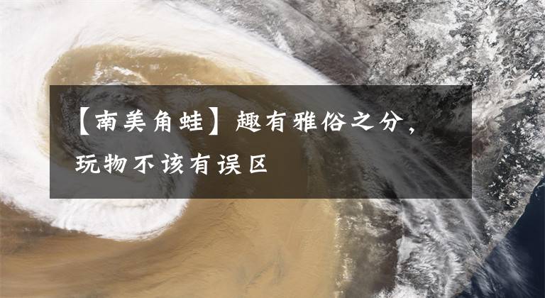 【南美角蛙】趣有雅俗之分, 玩物不该有误区