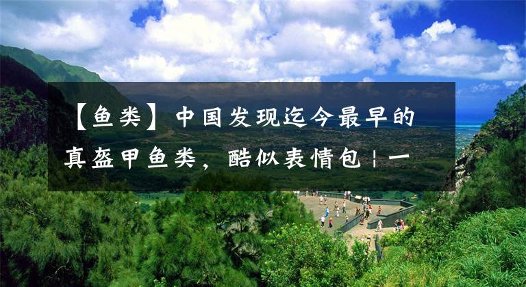 【鱼类】中国发现迄今最早的真盔甲鱼类，酷似表情包 | 一周科技