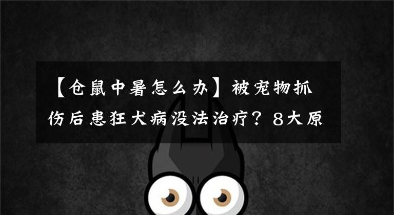 【仓鼠中暑怎么办】被宠物抓伤后患狂犬病没法治疗？8大原则让宝宝远离狂犬病