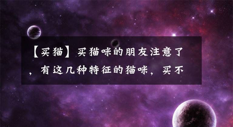 【买猫】买猫咪的朋友注意了，有这几种特征的猫咪，买不得