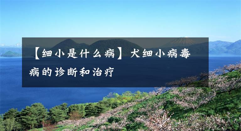 【细小是什么病】犬细小病毒病的诊断和治疗