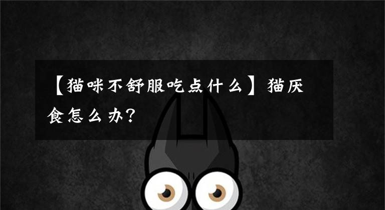 【猫咪不舒服吃点什么】猫厌食怎么办?