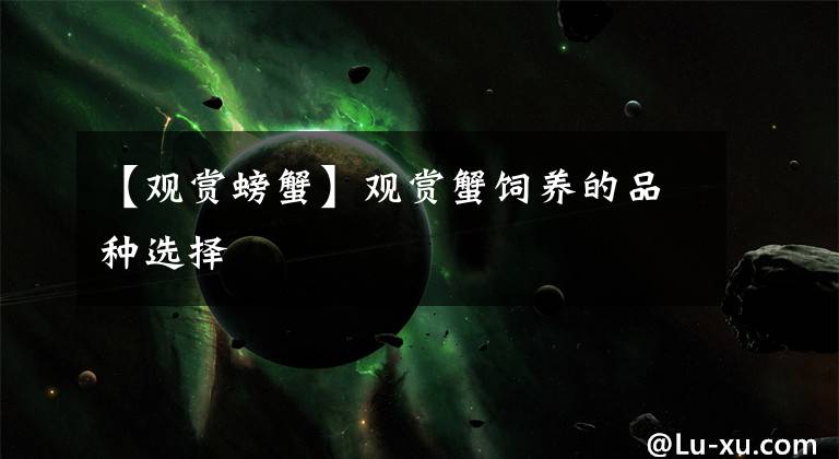 【观赏螃蟹】观赏蟹饲养的品种选择