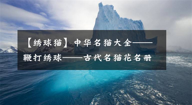 【绣球猫】中华名猫大全——鞭打绣球——古代名猫花名册