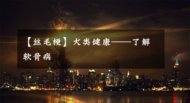 【丝毛梗】犬类健康——了解软骨病