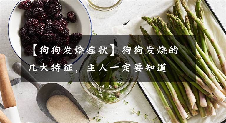 【狗狗发烧症状】狗狗发烧的几大特征，主人一定要知道