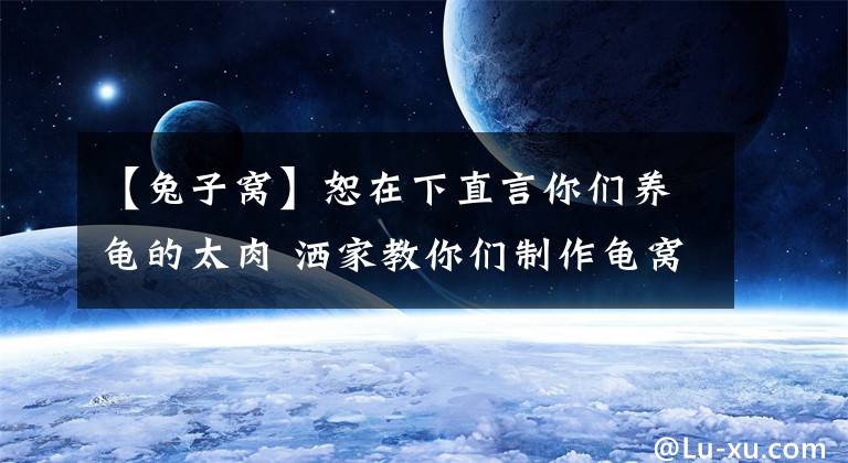 【兔子窝】恕在下直言你们养龟的太肉 洒家教你们制作龟窝简易做法