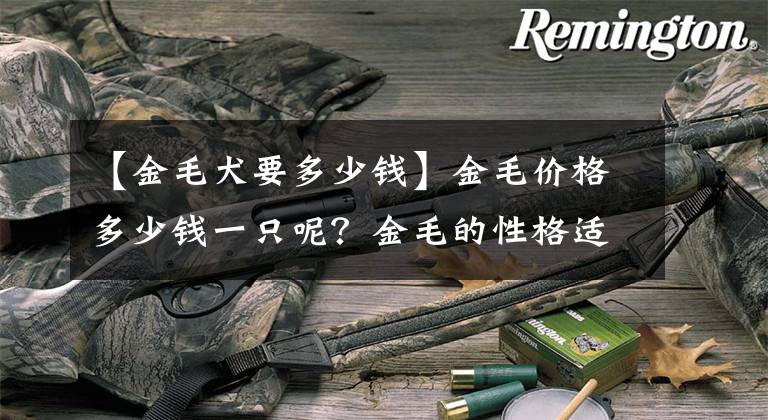 【金毛犬要多少钱】金毛价格多少钱一只呢？金毛的性格适合家养吗？