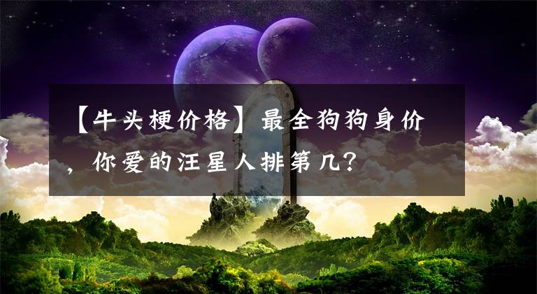 【牛头梗价格】最全狗狗身价，你爱的汪星人排第几？