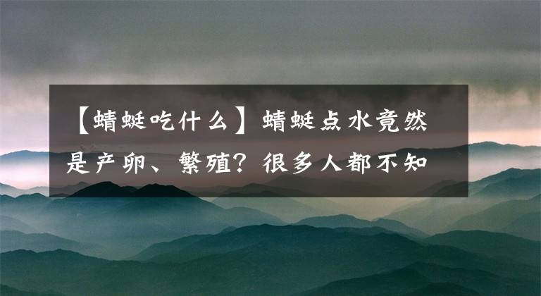 【蜻蜓吃什么】蜻蜓点水竟然是产卵、繁殖？很多人都不知道这事！