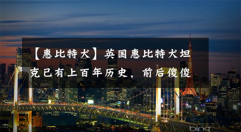 【惠比特犬】英国惠比特犬坦克已有上百年历史,前后傻傻分不清