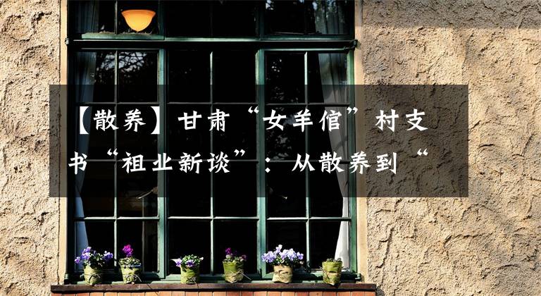 【散养】甘肃“女羊倌”村支书“祖业新谈”:从散养到“定向”养殖