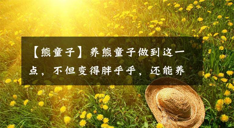 【熊童子】养熊童子做到这一点,不但变得胖乎乎,还能养满盆!