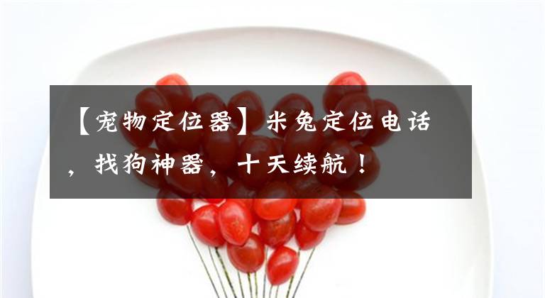 【宠物定位器】米兔定位电话,找狗神器,十天续航!