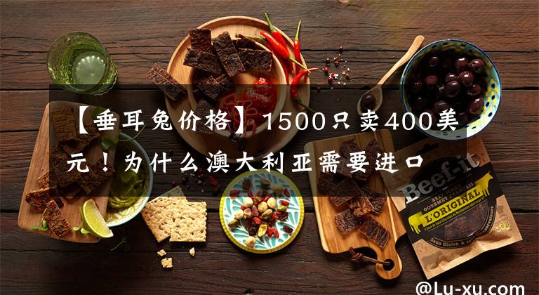 【垂耳兔价格】1500只卖400美元!为什么澳大利亚需要进口屎壳郎,本土没有吗?