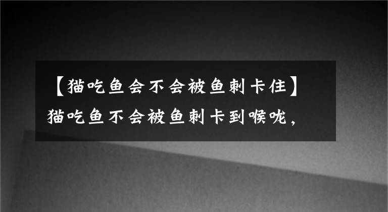 【猫吃鱼会不会被鱼刺卡住】猫吃鱼不会被鱼刺卡到喉咙，这是为什么？