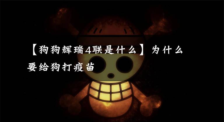 【狗狗辉瑞4联是什么】为什么要给狗打疫苗