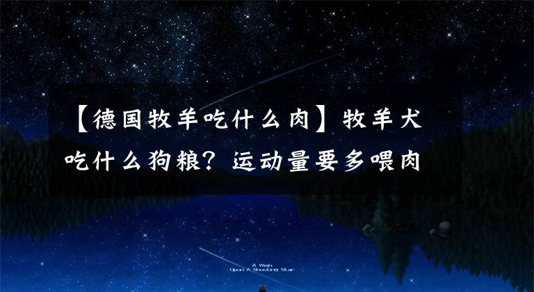 【德国牧羊吃什么肉】牧羊犬吃什么狗粮?运动量要多喂肉类。