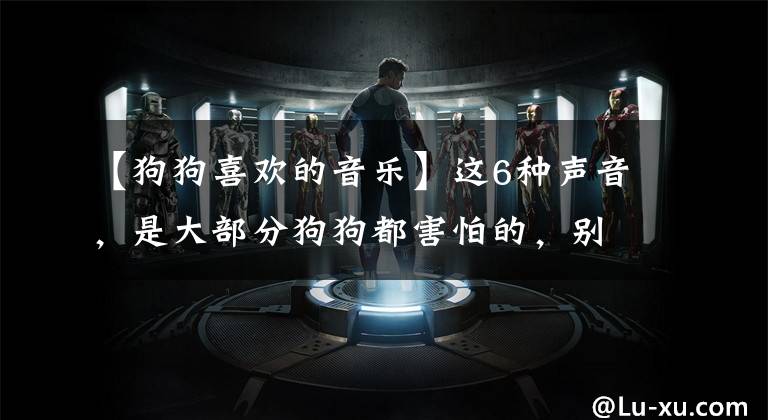 【狗狗喜欢的音乐】这6种声音，是大部分狗狗都害怕的，别让它被吓懵了