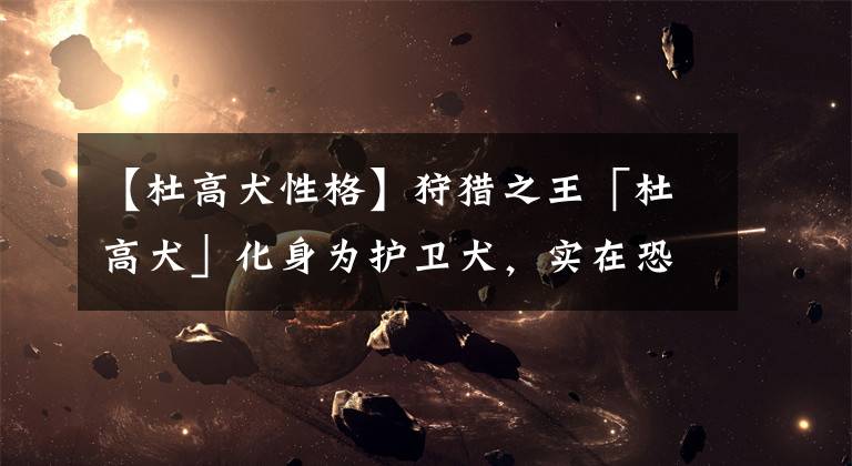 【杜高犬性格】狩猎之王「杜高犬」化身为护卫犬,实在恐怖,想锁喉……