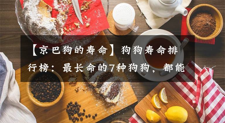【京巴狗的寿命】狗狗寿命排行榜：最长命的7种狗狗，都能活十年以上