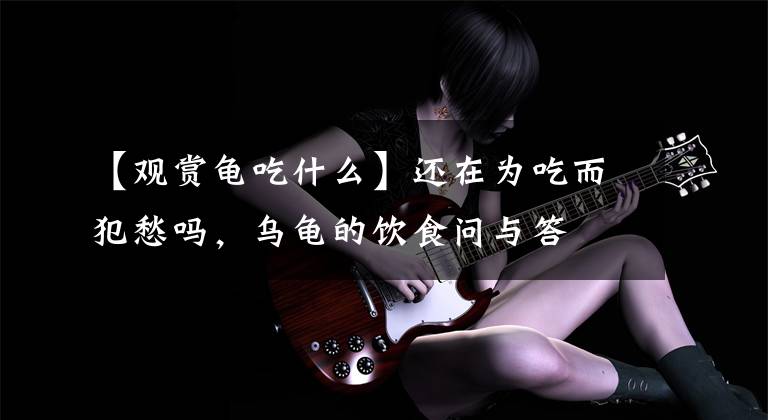 【观赏龟吃什么】还在为吃而犯愁吗，乌龟的饮食问与答