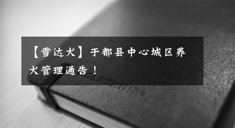 【雪达犬】于都县中心城区养犬管理通告！