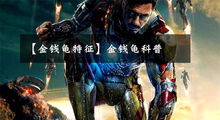 【金钱龟特征】金钱龟科普