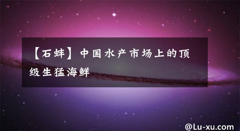 【石蚌】中国水产市场上的顶级生猛海鲜