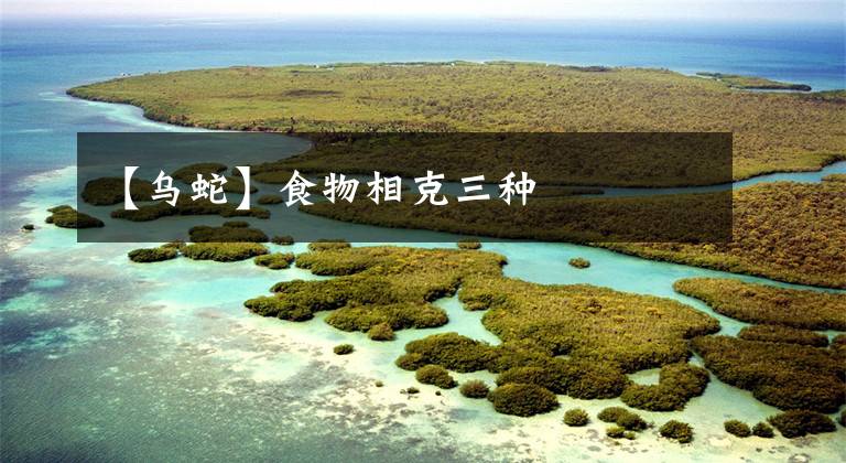【乌蛇】食物相克三种