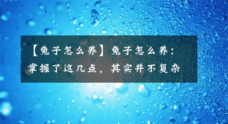 【兔子怎么养】兔子怎么养:掌握了这几点,其实并不复杂