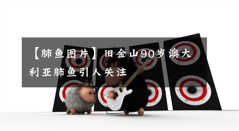 【肺鱼图片】旧金山90岁澳大利亚肺鱼引人关注