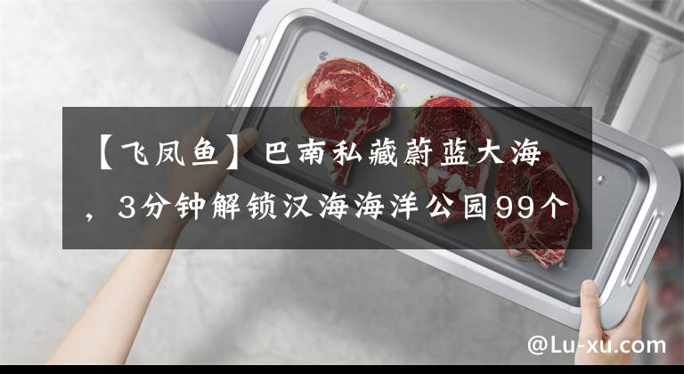 【飞凤鱼】巴南私藏蔚蓝大海，3分钟解锁汉海海洋公园99个耍法！